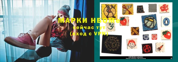 шишки Бородино