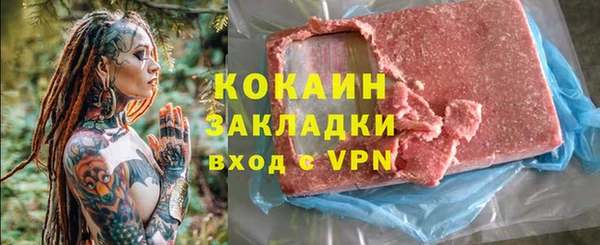 шишки Бородино
