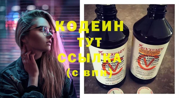 шишки Бородино