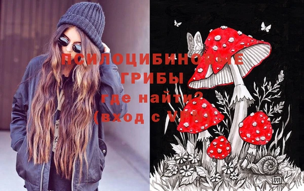 шишки Бородино