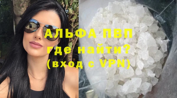 индика Белоозёрский