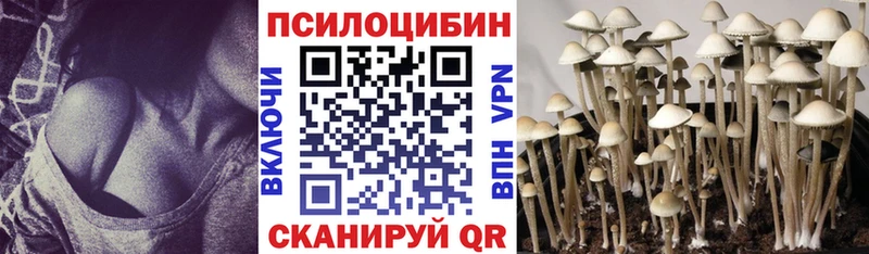Псилоцибиновые грибы мухоморы  Кузнецк 